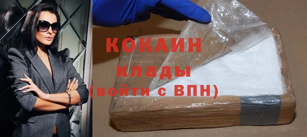 прущие грибы Яровое