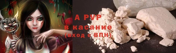 соль ск Коряжма