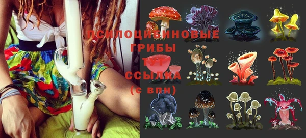 соль ск Коряжма