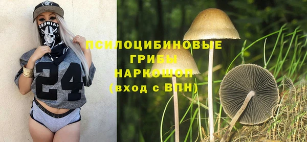 ешки Костерёво