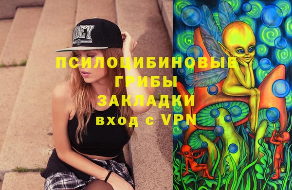соль ск Коряжма