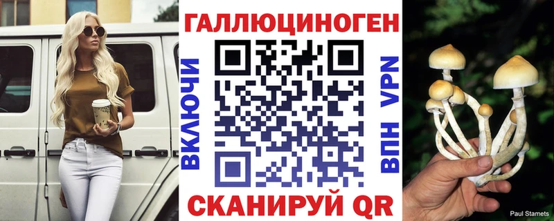 купить закладку Шимановск Галлюциногенные грибы мухоморы
