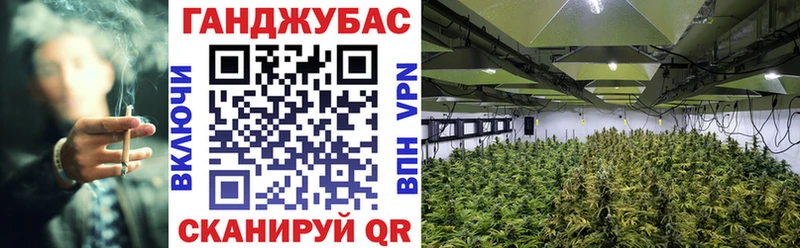 Шишки марихуана Bruce Banner  купить наркотик  Шимановск 